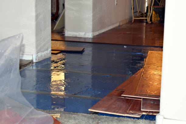 Professional Water Damage Restoration technician working in Proctor, AR